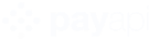 PayAPI Logo
